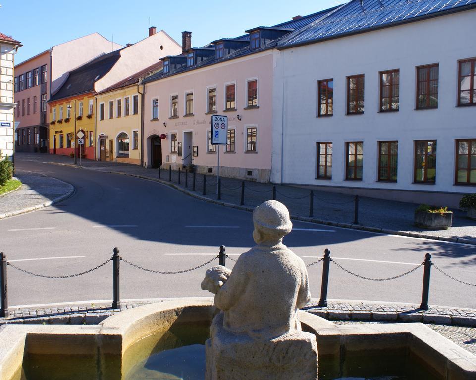 Penzion U Pasacka Nove Mesto na Morave Extérieur photo